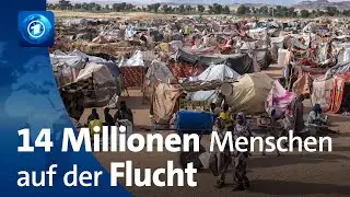 Blutiger Konflikt im Sudan: 14 Millionen Menschen auf der Flucht