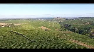 Vignoble &agrave; Chavignol