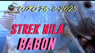 Strek yang bikin tangan keder mancing nila babon di wko.