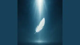 The Light Whisperers