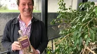 Newfoundland seaweed gin wins gold at international spirits competition