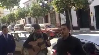 Pasodoble 