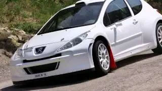 Peugeot 207 Super 2000