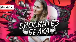 Биосинтез белка | БиоФАК