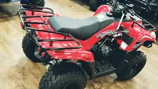TemeculaMotorSports 2020 Kawasaki Brute Force&reg; 300