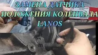 ЗАМЕНА ДАТЧИКА ПОЛОЖЕНИЯ КОЛЕНВАЛА LANOS НЕ ЗАВОДИТСЯ  ЗАЗ ШАНС Ланос ДАТЧИК СИНХРОНИЗАЦИИ 403.3847