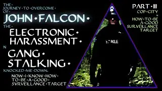 COP CITY: Gang Stalking, Electronic Harassment: John Falcon's Journey - Part 3 - Scary Stories