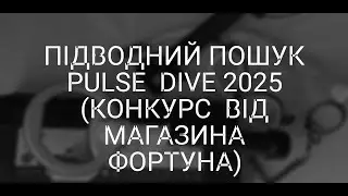 Підводний пошук Туречина 2025 з Nokta Pulse Dive .
