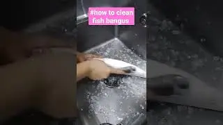 #how to clean fish bangus