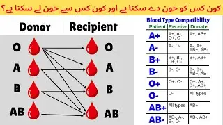 Blood Transfusions Compatibility I Blood Transfusions