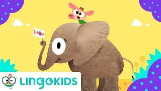 COWY HAS AN ELEPHANT 🐘 | Nursery Rhymes | Lingokids