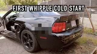 First Whipple Cold Start