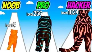Cat Evolution - NOOB vs PRO vs HACKER