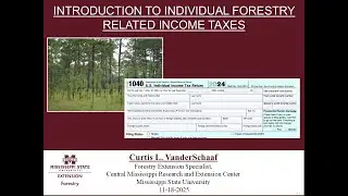 Introduction to Individual Forestry Related Income Taxes