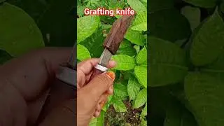 নতুন আইটেম চাকু #grafting #knife