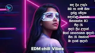 Sinhala top 10 EDM Mixtape 2 | Avi beats