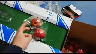 Упаковка яблок flow pack на горизонтальном упаковщике
