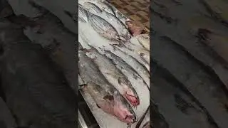 Eat fish good for the heart #fish ##lethbridge