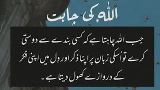 Urdu&nbsp; Islamic quotes ! Golden words ! Heart touching quotes ! Tayyaba voice