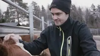 Lokal mat p&aring; tallriken