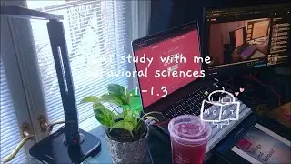 Lofi MCAT Study With Me: Case Western Reserve University Pre-Med Student Behavioral Sciences 1.1-1.3