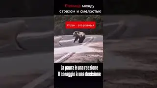 #inconscio #libert&agrave; #paura #pensiero #saggezza #vita #coraggio