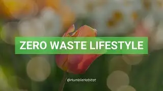Zero Waste Lifestyle: Mastering the Art of Sustainable Living