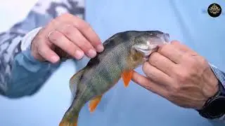 The Top Ten Places for Ice Fishing #top10