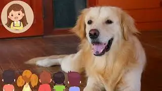 Animal Sounds Song 🎶 | Fun Farm Animals Sing-Along for Kids