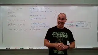 Hearing mechanics
