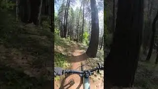 Scott&rsquo;s Flat Trail, Nevada City Ca - PaulBMTBike