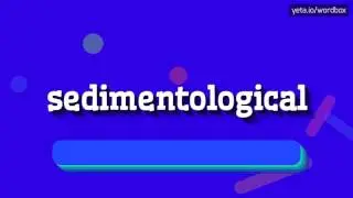 СЕДИМЕНТОЛОГИЧЕСКИЙ - КАК ПРОИЗНОШАЕТСЯ СЕДИМЕНТОЛОГИЧЕСКИЙ?  #седиментологический (S