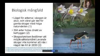 Skogswebinar #6 - Rebecka Le Moine (Milj&ouml;partiet)