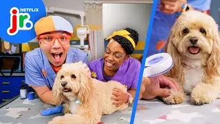 Blippi and Fluffy's Visit to the Vet 🐶❤️&zwj;🩹 Blippi's Job Show | Netflix Jr