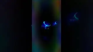 FiberFlies JunkieXL full session