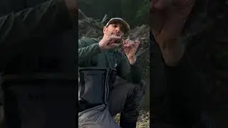 Вы когда-нибудь видели, чтобы муха-мышь так хорошо плавала?