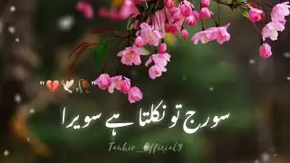 Suraj to nikalta hai✨🥀💯urdu shayari whatsapp status video best poetry #trending #shayari #urdupoetry