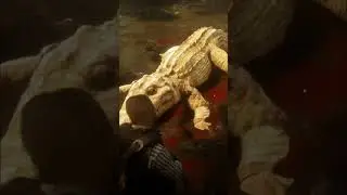 Legendary animals location #rdr2 #rdr #shorts #short