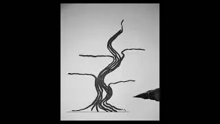 The Bonsai Diary