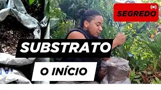 Início  da Fabricação de Substrato Artesanal