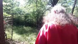 Wild Yam - in the forest with Susun Weed