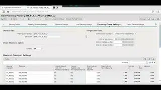 SAP TM Planning Profile | Load Planning, Carrier Selection & Optimizer Settings
