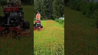 When No Mow May Is Done ✂️ #mowing #fyp #satisfying