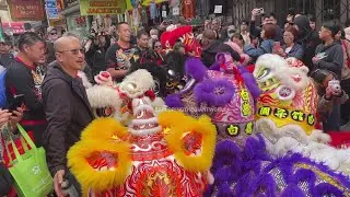 2 San Francisco Lion Dance Teams greeting each other - Leung's White Crane and Jing Mo