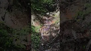 Creek sounds