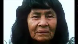 Shamans Ayahuaska  Icaros