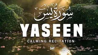 Surah Yasin (Yaseen) سورة يس The Heart of Quran | Healing Recitation for Weak Hearts | Basair TV
