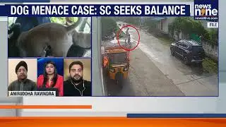 Supreme Court on Stray Dogs: Compassion vs Fear | Who Decides Whose Life Counts?