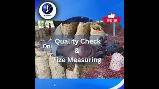 JYOTHIRMAI EXIM Import the best Onions from the leading exporter of Onion from South India. #onion