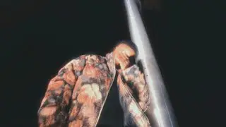 Memphis Kidd- I Am Kidd (Music Video)